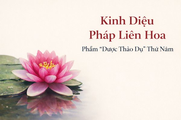 Kinh Diệu Pháp Liên Hoa - Phẩm “Dược Thảo Dụ” Thứ Năm